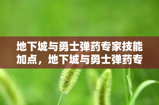 地下城与勇士弹药专家技能加点，地下城与勇士弹药专家加点策略