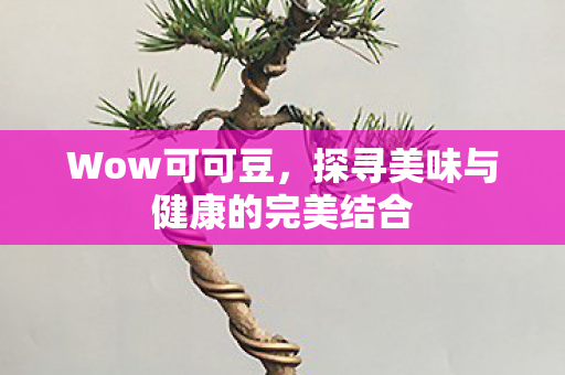 Wow可可豆,探寻美味与健康的完美结合 Wow可可豆,探寻美味与健康的完美结合