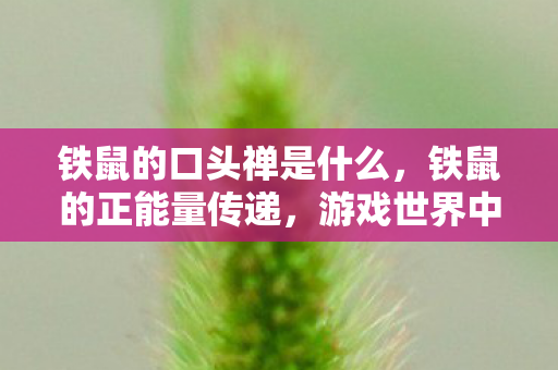铁鼠的口头禅是什么,铁鼠的正能量传递,游戏世界中的坚持与热爱 铁鼠的口头禅是什么,铁鼠的正能量传递,游戏世界中的坚持与热爱
