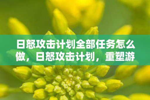 日怒攻击计划全部任务怎么做,日怒攻击计划,重塑游戏世界的秩序与平衡 日怒攻击计划全部任务怎么做,日怒攻击计划,重塑游戏世界的秩序与平衡