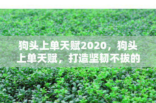 狗头上单天赋2020，狗头上单天赋，打造坚韧不拔的战士之路