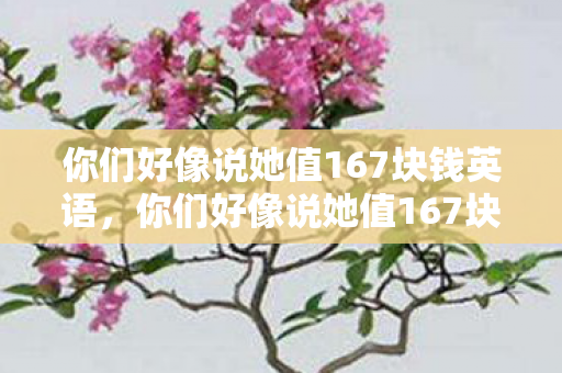 你们好像说她值167块钱英语，你们好像说她值167块钱
