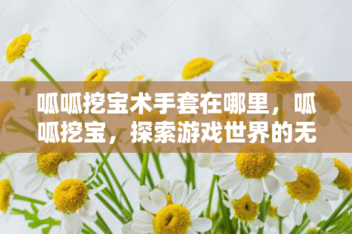 呱呱挖宝术手套在哪里,呱呱挖宝,探索游戏世界的无尽宝藏 呱呱挖宝术手套在哪里,呱呱挖宝,探索游戏世界的无尽宝藏
