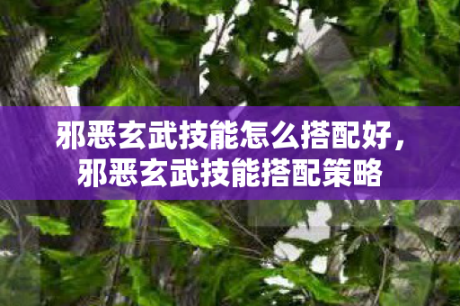 邪恶玄武技能怎么搭配好图片