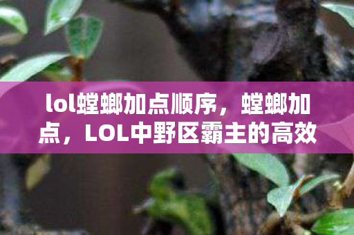 LOL中野区霸主的高效技能加点策略图片