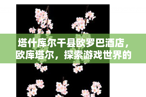 塔什库尔干县欧罗巴酒店图片