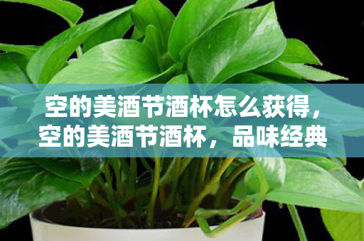 空的美酒节酒杯怎么获得图片