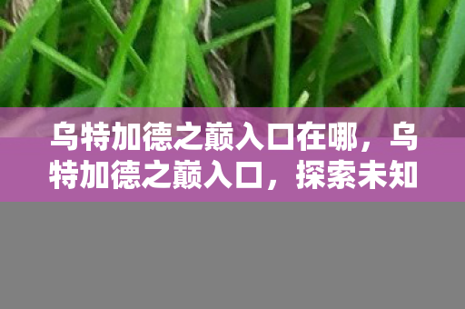 乌特加德之巅入口在哪,乌特加德之巅入口,探索未知世界的神秘门户 乌特加德之巅入口在哪,乌特加德之巅入口,探索未知世界的神秘门户