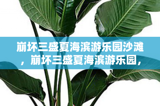 崩坏三盛夏海滨游乐园沙滩,崩坏三盛夏海滨游乐园,夏日狂欢的虚拟之旅 崩坏三盛夏海滨游乐园沙滩,崩坏三盛夏海滨游乐园,夏日狂欢的虚拟之旅