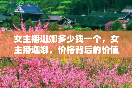 女主播迦娜多少钱一个图片