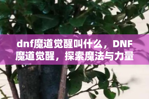 探索魔法与力量的奇妙之旅图片