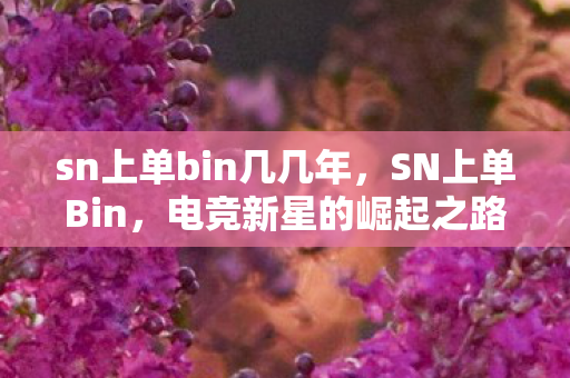 sn上单bin几几年图片
