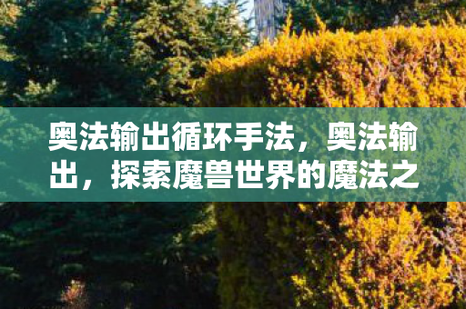 探索魔兽世界的魔法之源图片