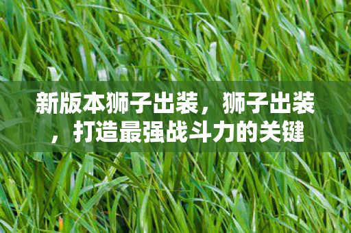 打造最强战斗力的关键图片
