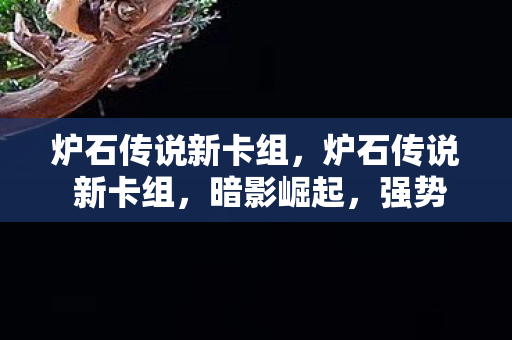 炉石传说新卡组，炉石传说 新卡组，暗影崛起，强势来袭