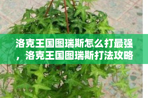 洛克王国图瑞斯怎么打最强图片