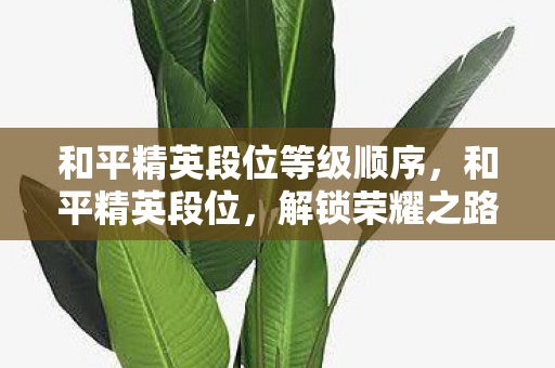 解锁荣耀之路的必经之路图片