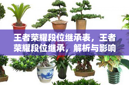 王者荣耀段位继承表图片