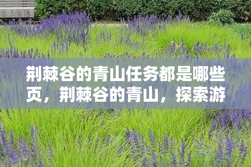 荆棘谷的青山任务都是哪些页图片