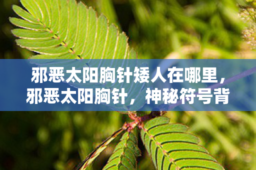 邪恶太阳胸针矮人在哪里图片