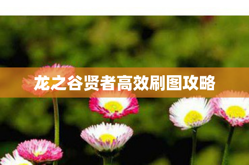 龙之谷贤者高效刷图攻略