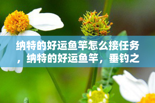 纳特的好运鱼竿怎么接任务，纳特的好运鱼竿，垂钓之旅的幸运之选