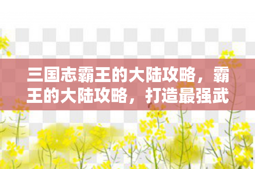 三国志霸王的大陆攻略，霸王的大陆攻略，打造最强武将阵容