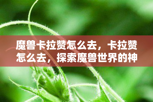 探索魔兽世界的神秘遗迹图片