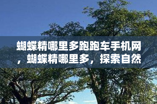 蝴蝶精哪里多跑跑车手机网,蝴蝶精哪里多,探索自然奇观,感受生态之美 蝴蝶精哪里多跑跑车手机网,蝴蝶精哪里多,探索自然奇观,感受生态之美