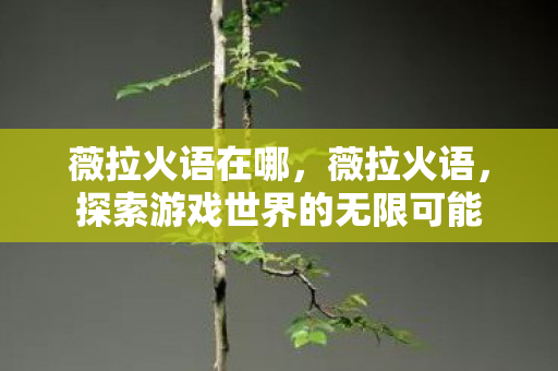 薇拉火语在哪,薇拉火语,探索游戏世界的无限可能 薇拉火语在哪,薇拉火语,探索游戏世界的无限可能