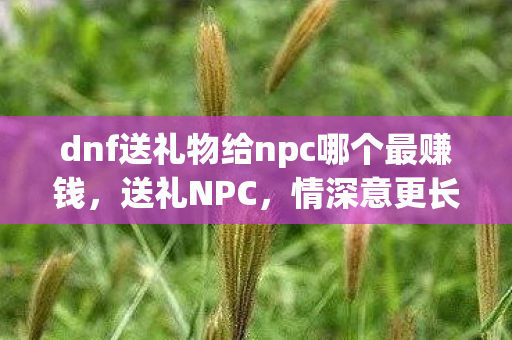 dnf送礼物给npc哪个最赚钱,送礼NPC,情深意更长 dnf送礼物给npc哪个最赚钱,送礼NPC,情深意更长
