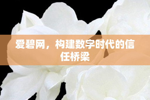 爱碧网，构建数字时代的信任桥梁