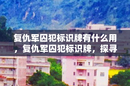 复仇军囚犯标识牌有什么用，复仇军囚犯标识牌，探寻游戏世界中的独特符号