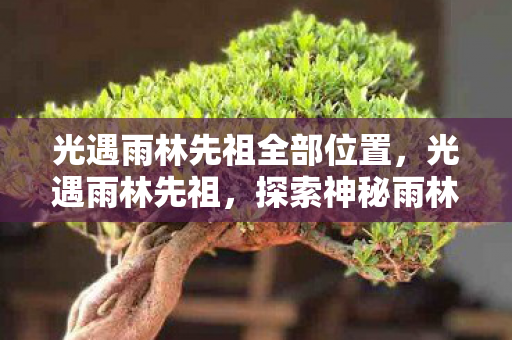 探索神秘雨林的奇妙之旅图片