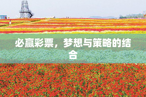 必赢彩票,梦想与策略的结合 必赢彩票,梦想与策略的结合