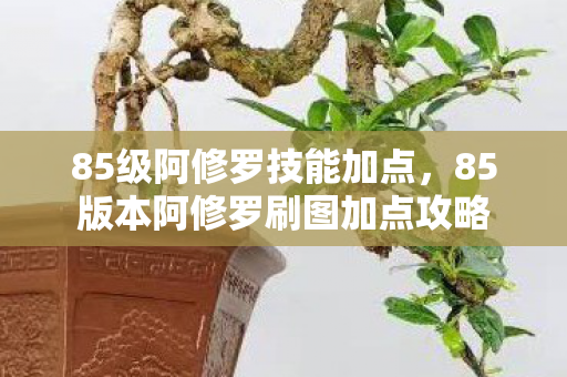 85级阿修罗技能加点,85版本阿修罗刷图加点攻略 85级阿修罗技能加点,85版本阿修罗刷图加点攻略