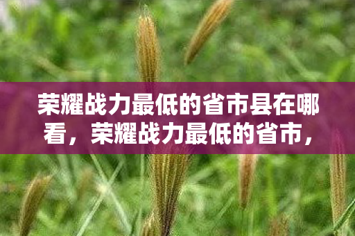 荣耀战力最低的省市县在哪看图片
