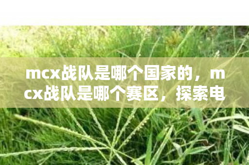 mcx战队是哪个国家的,mcx战队是哪个赛区,探索电竞新势力的崛起之路 mcx战队是哪个国家的,mcx战队是哪个赛区,探索电竞新势力的崛起之路