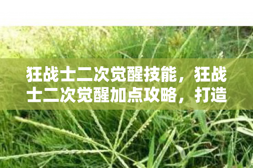 狂战士二次觉醒技能,狂战士二次觉醒加点攻略,打造最强战斗力的关键 狂战士二次觉醒技能,狂战士二次觉醒加点攻略,打造最强战斗力的关键