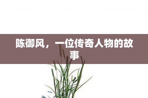 陈御风，一位传奇人物的故事