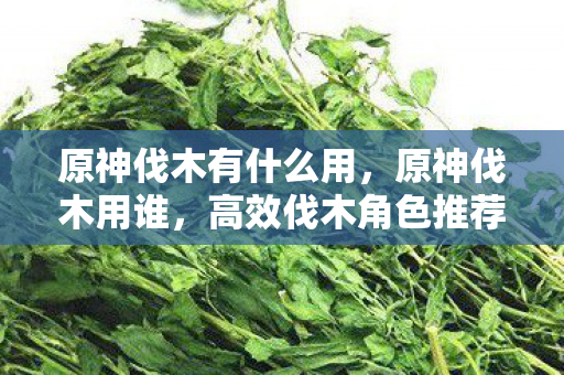 原神伐木有什么用,原神伐木用谁,高效伐木角色推荐与技巧分享 原神伐木有什么用,原神伐木用谁,高效伐木角色推荐与技巧分享