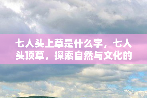 七人头上草是什么字,七人头顶草,探索自然与文化的奇妙融合 七人头上草是什么字,七人头顶草,探索自然与文化的奇妙融合