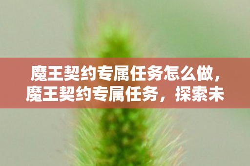 魔王契约专属任务怎么做，魔王契约专属任务，探索未知世界的神秘挑战