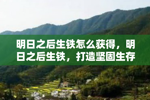 明日之后生铁怎么获得，明日之后生铁，打造坚固生存之路
