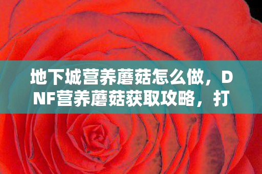 地下城营养蘑菇怎么做,DNF营养蘑菇获取攻略,打造你的地下城之旅 地下城营养蘑菇怎么做,DNF营养蘑菇获取攻略,打造你的地下城之旅