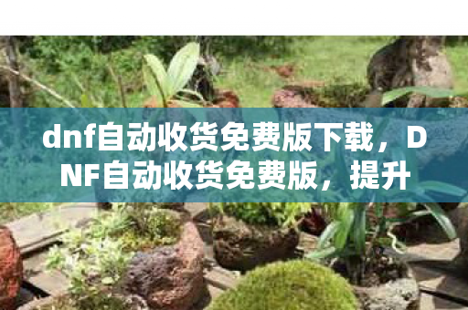 dnf自动收货免费版下载,DNF自动收货免费版,提升游戏效率与便捷性的神器 dnf自动收货免费版下载,DNF自动收货免费版,提升游戏效率与便捷性的神器