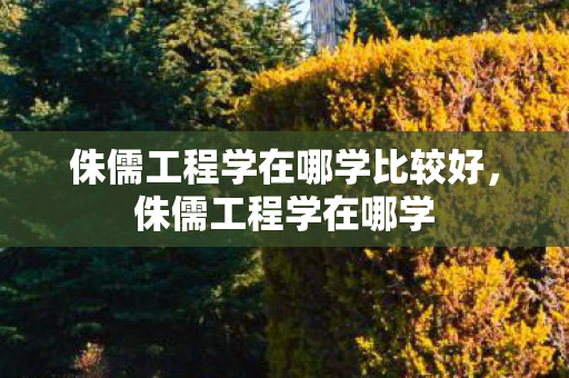 侏儒工程学在哪学比较好，侏儒工程学在哪学