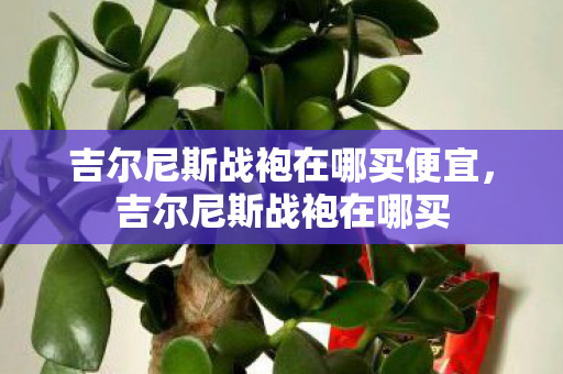 吉尔尼斯战袍在哪买便宜图片