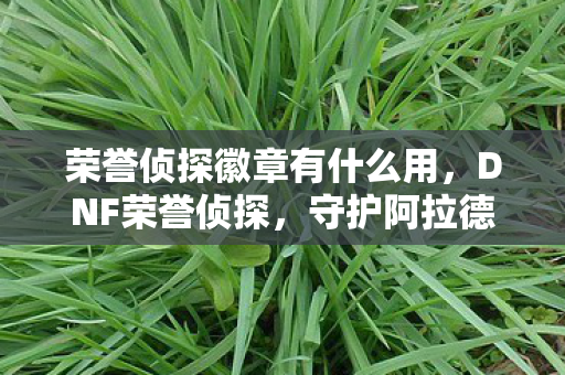 守护阿拉德大陆的正义之眼图片