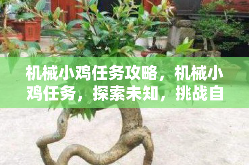 机械小鸡任务攻略图片